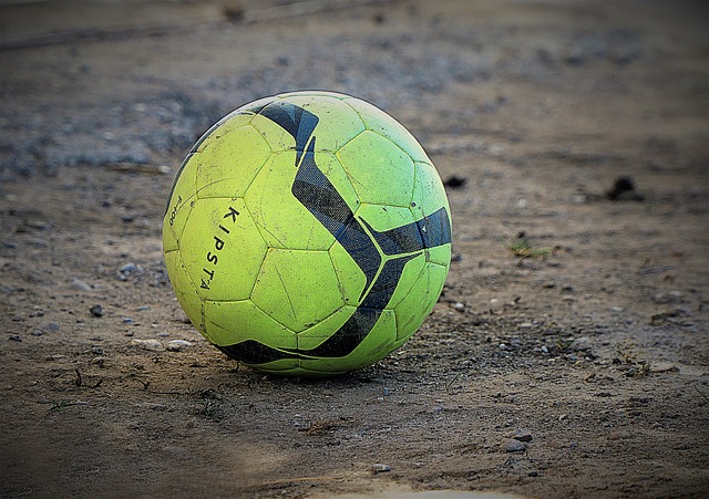 的阵容中 的阵容中