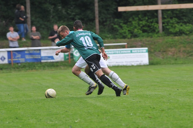 的图案风格 的图案风格